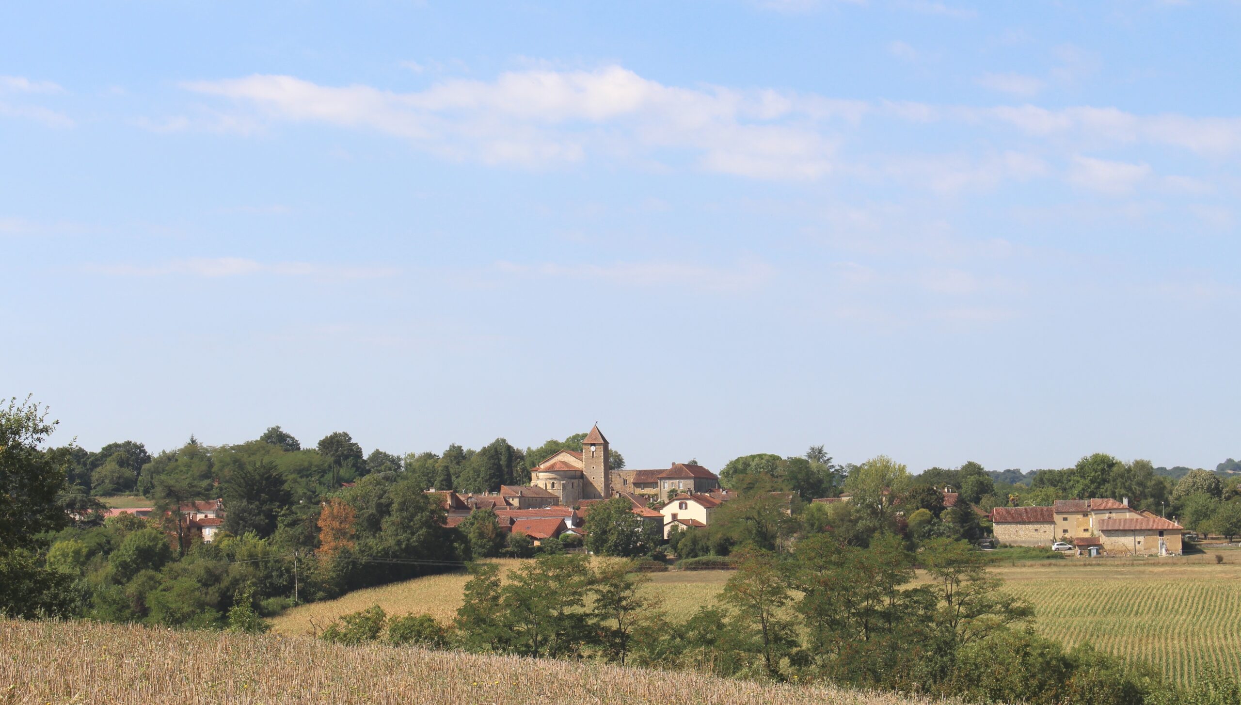 Madiran wine: not your average plonk