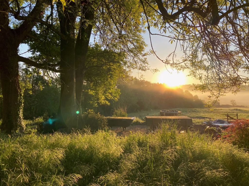May sunrise from the wood at Peyroulat, South-West France. A bucolic and rustic setting for a relaxing break in the French countryside. Peyroulat.com