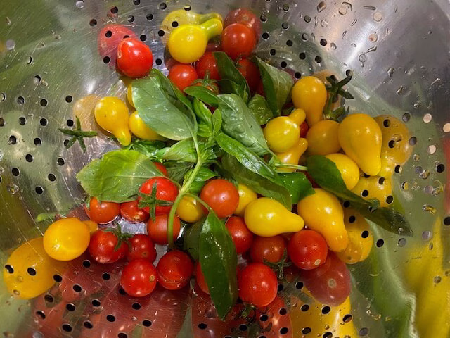 Yellow pear and cherry tomatoes plus basil from the potager at Peyroulat, South-West France.